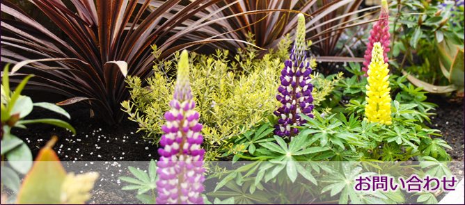 ���₢���킹