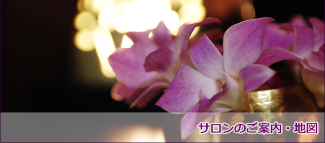 �T�����̂��ē��E�n�}